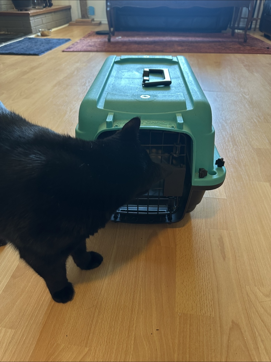 Great Choice Pet Carrier - photo 3
