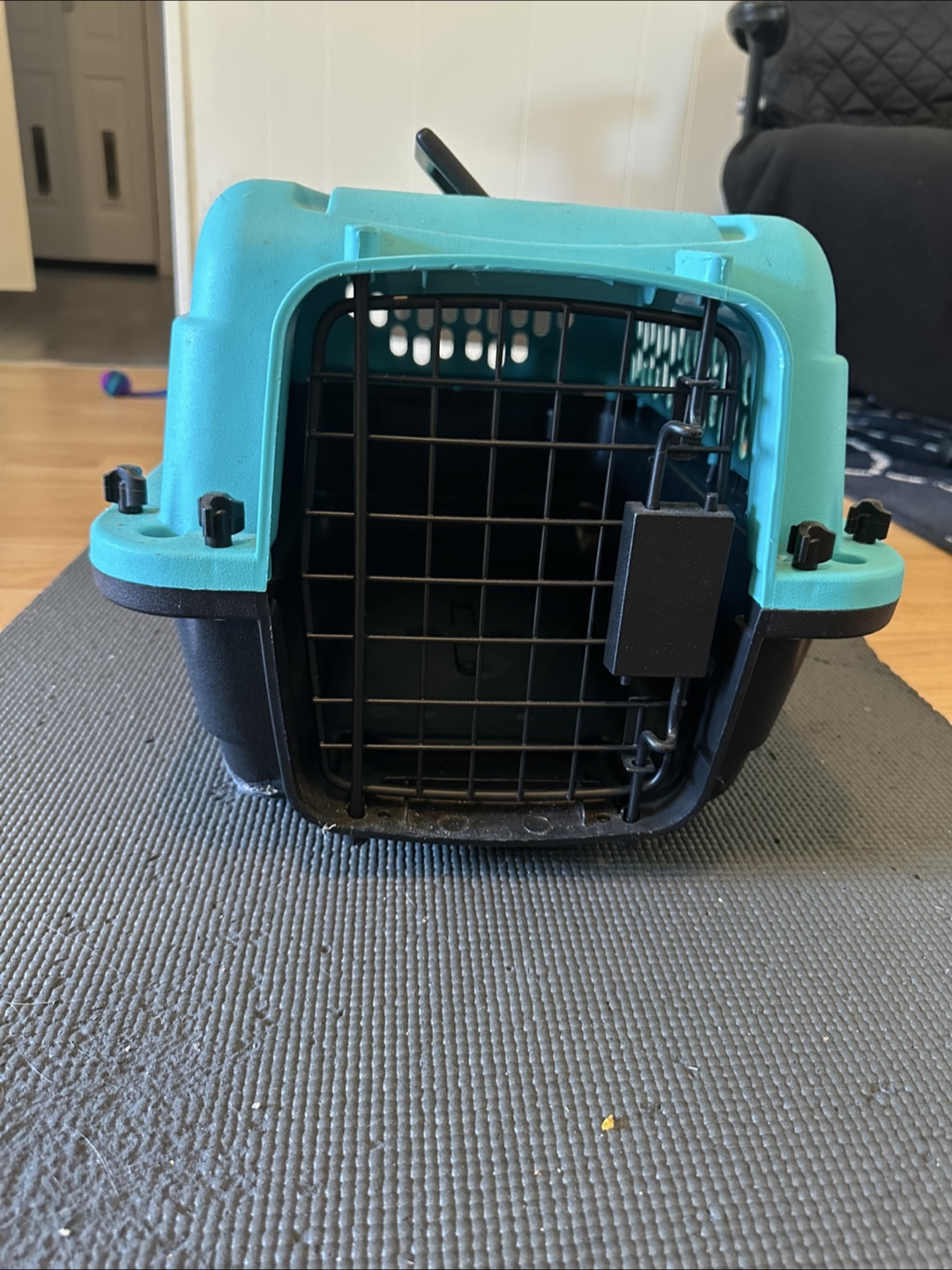 Great Choice Pet Carrier