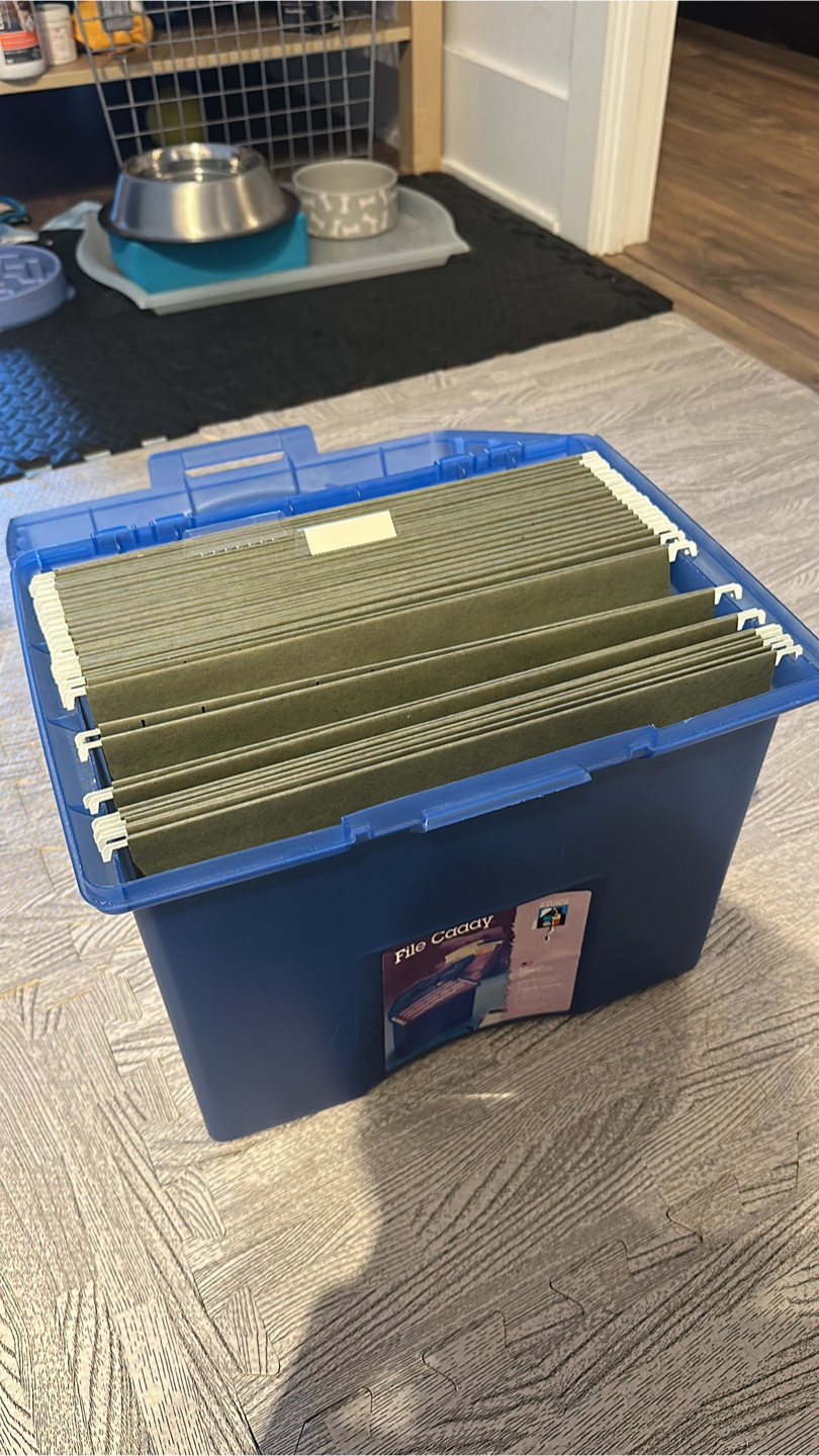 File Caddy with Hanging Folders