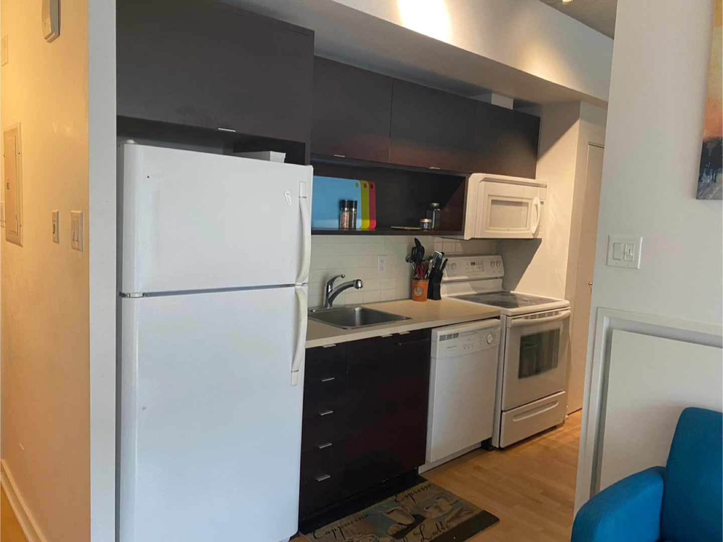 Centretown 1 B/R 1 Bath Condo Sept 1 - photo 2
