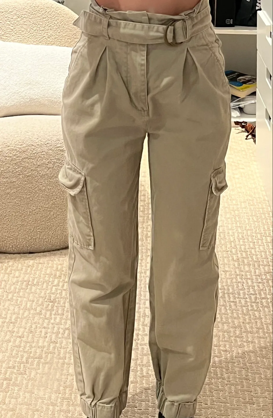 Aritzia Paper-Bag Cargo Pants thumbnail