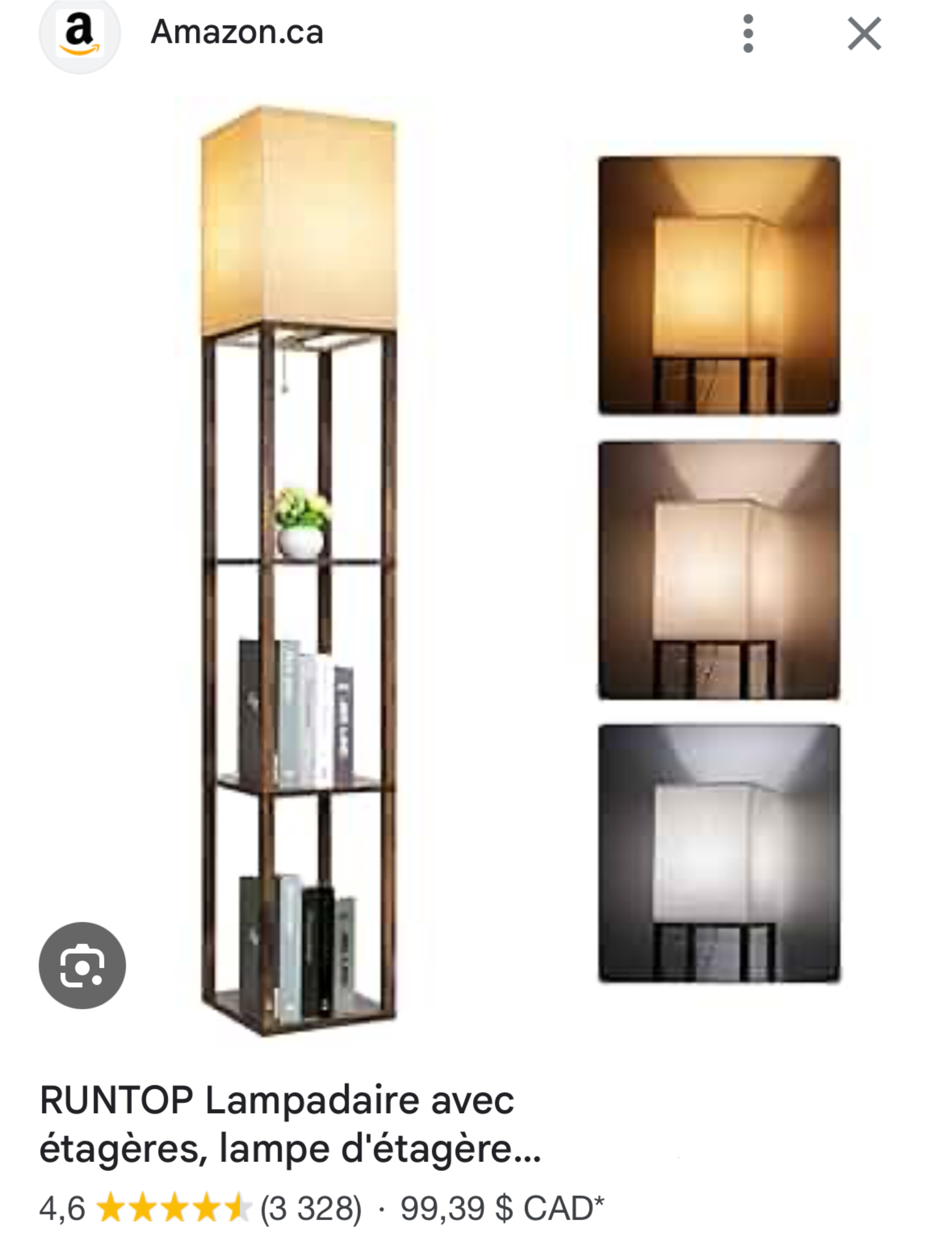 Floor Lamp with Shelves