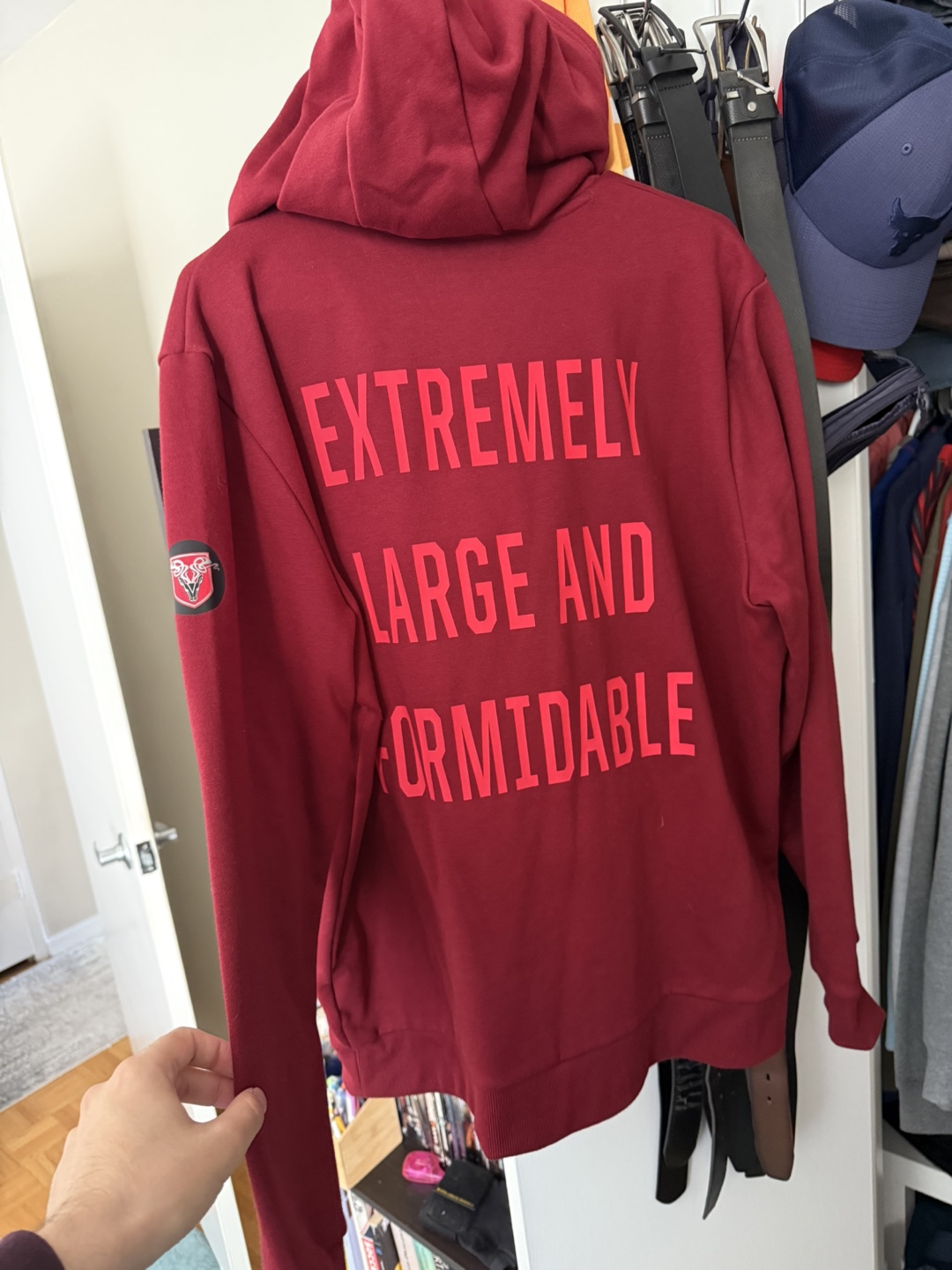 Under Armour Project Rock Red One Large Hoodie - photo 4