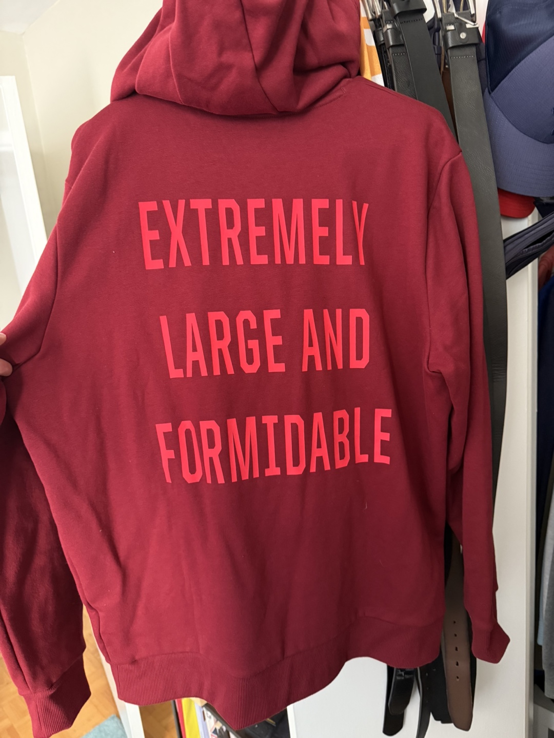 Under Armour Project Rock Red One Large Hoodie - photo 2