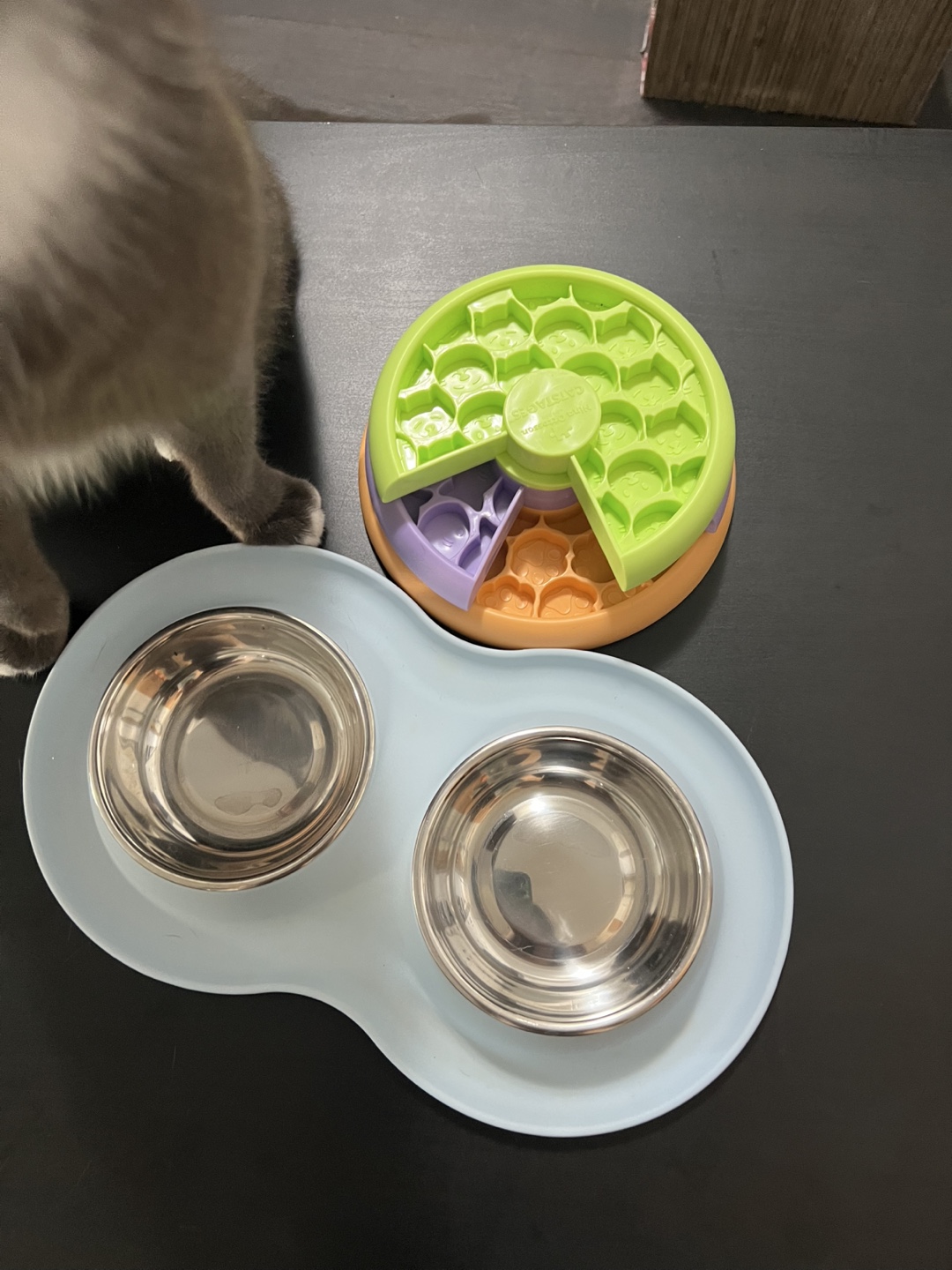 Slow Feeder & Bowls