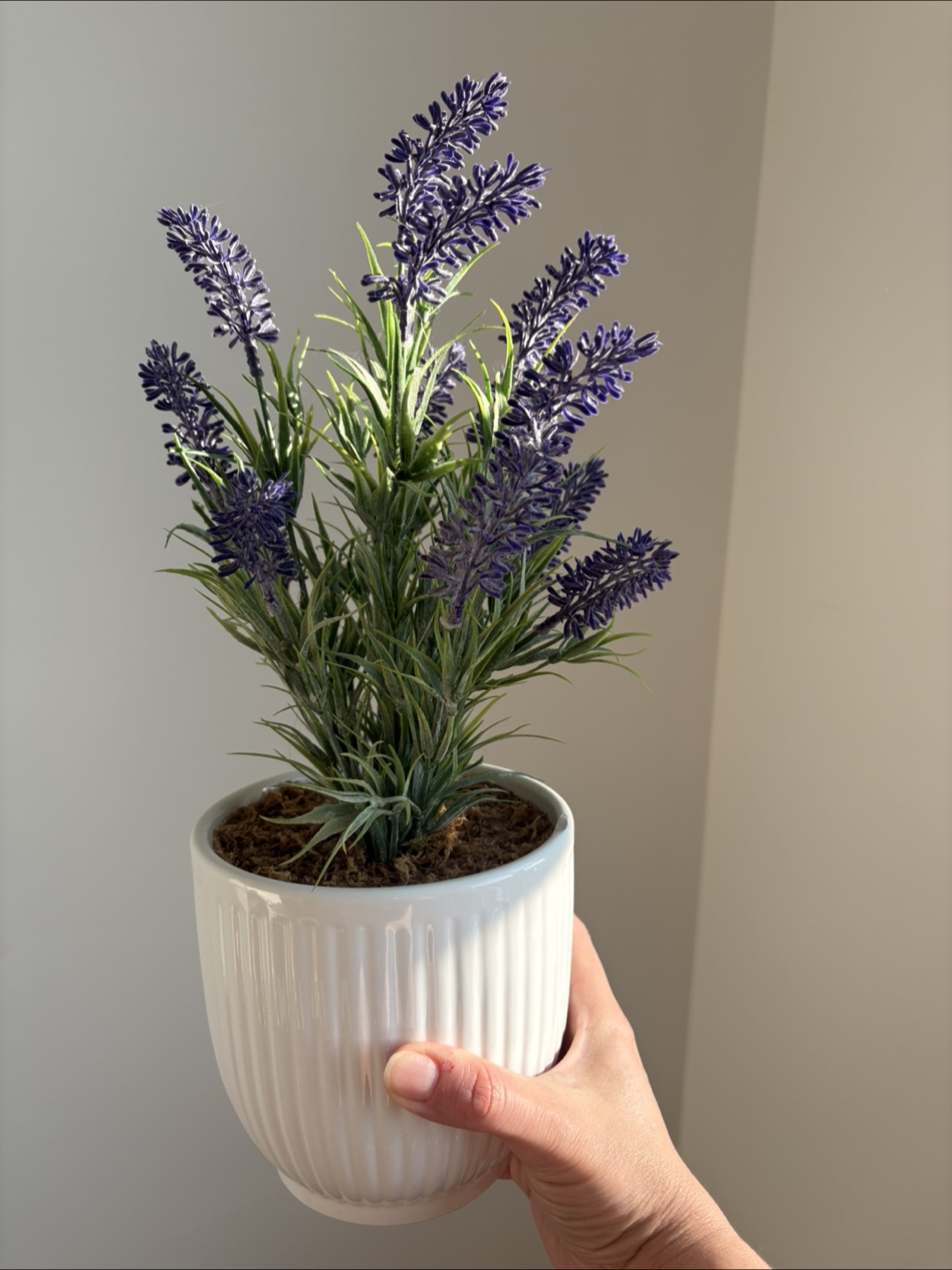 Artificial Lavender Plant in White Pot