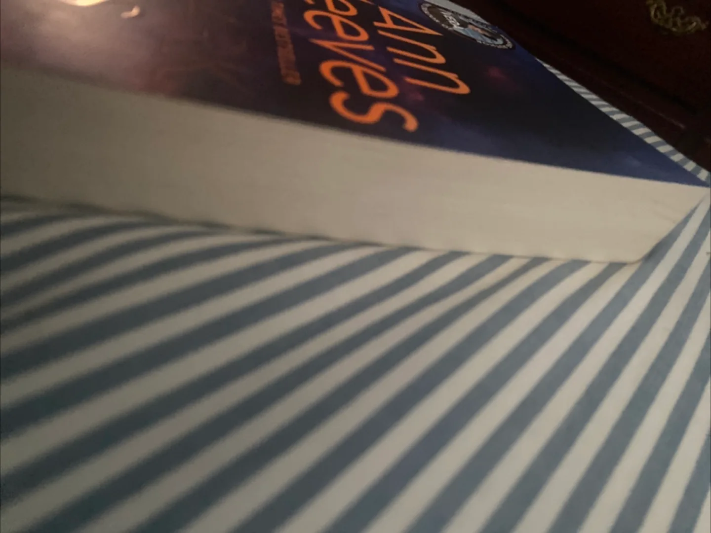 Ann Cleeves - The Dark Wives image indicator(3)