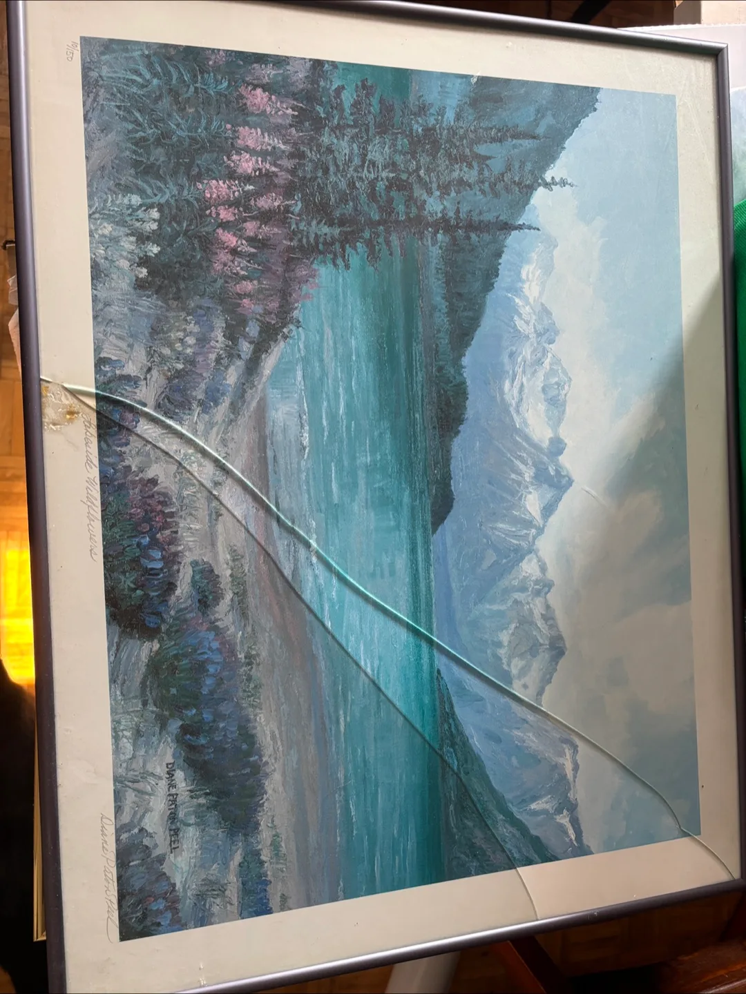 Diane Paton Peel Framed Print thumbnail