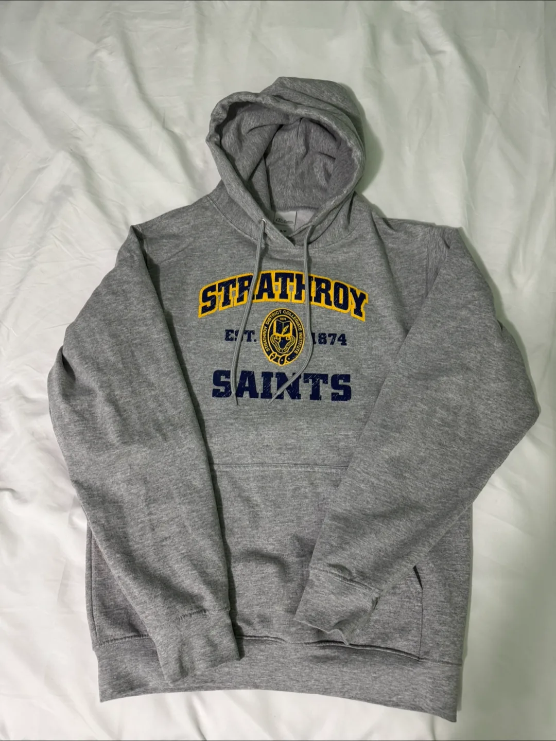 SDCI Spirit Wear Hoodie image indicator(2)