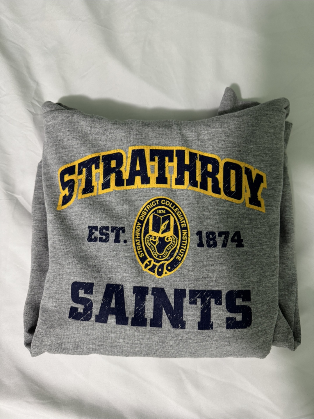 SDCI Spirit Wear Hoodie