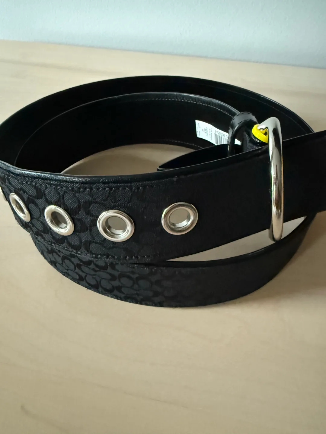 Coach Black Belt image indicator(3)