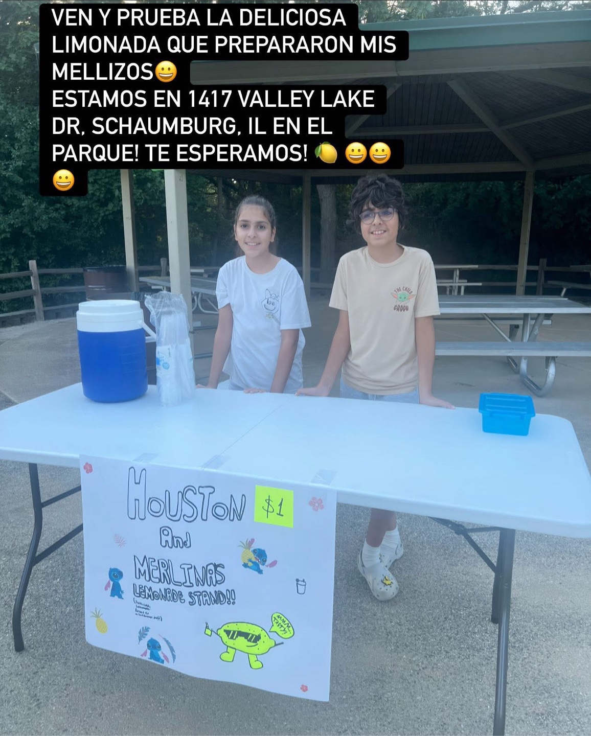 1417 Valley Lake Dr, Schaumburg, IL, at the park 🍋