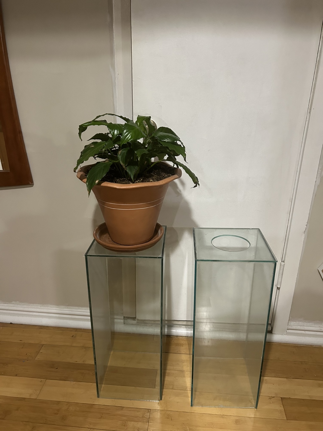 Glass Plant Stands - Set of 2