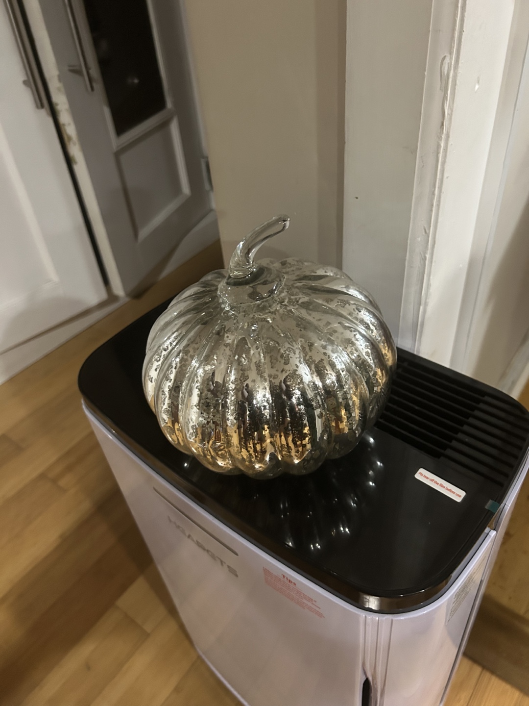 Silver Mercury Glass Pumpkin Decor