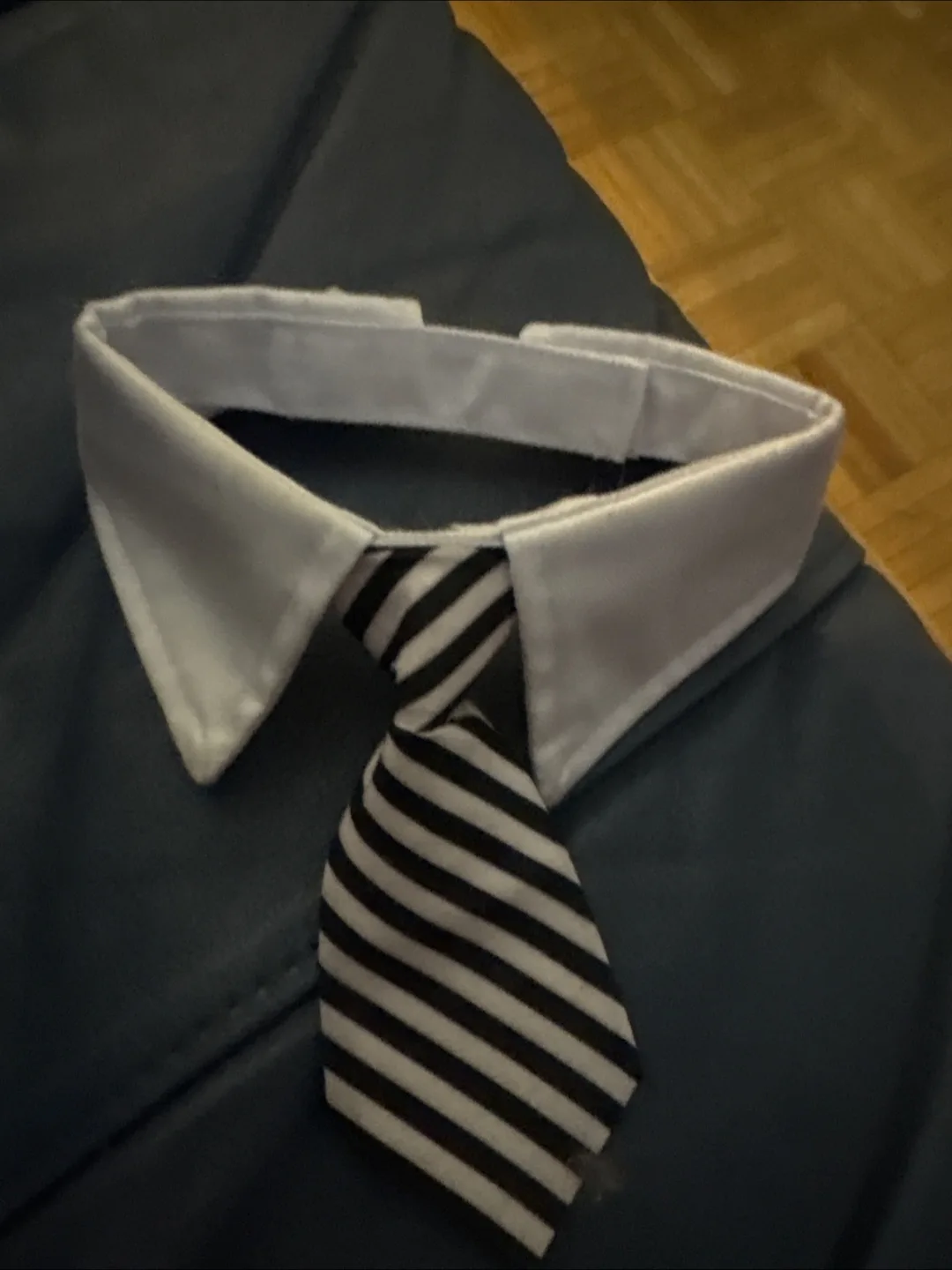 🧡Cat Collar with Tie - Black & White Stripes thumbnail