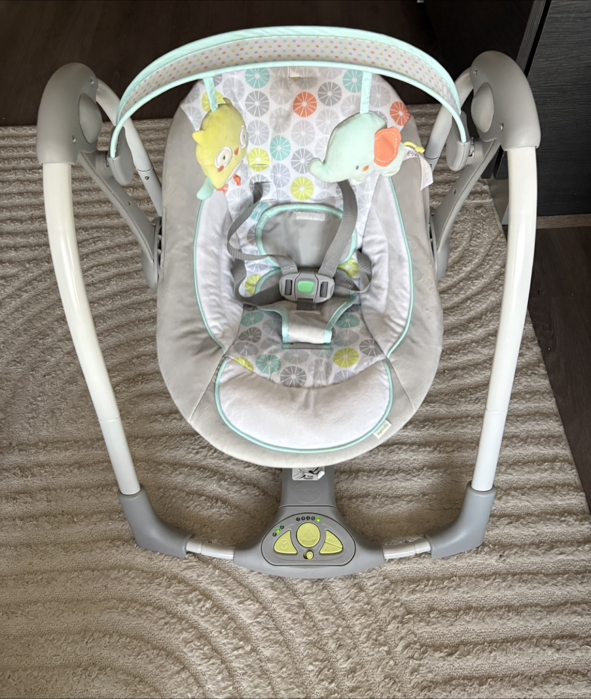 Ingenuity Swing and Go - photo 2