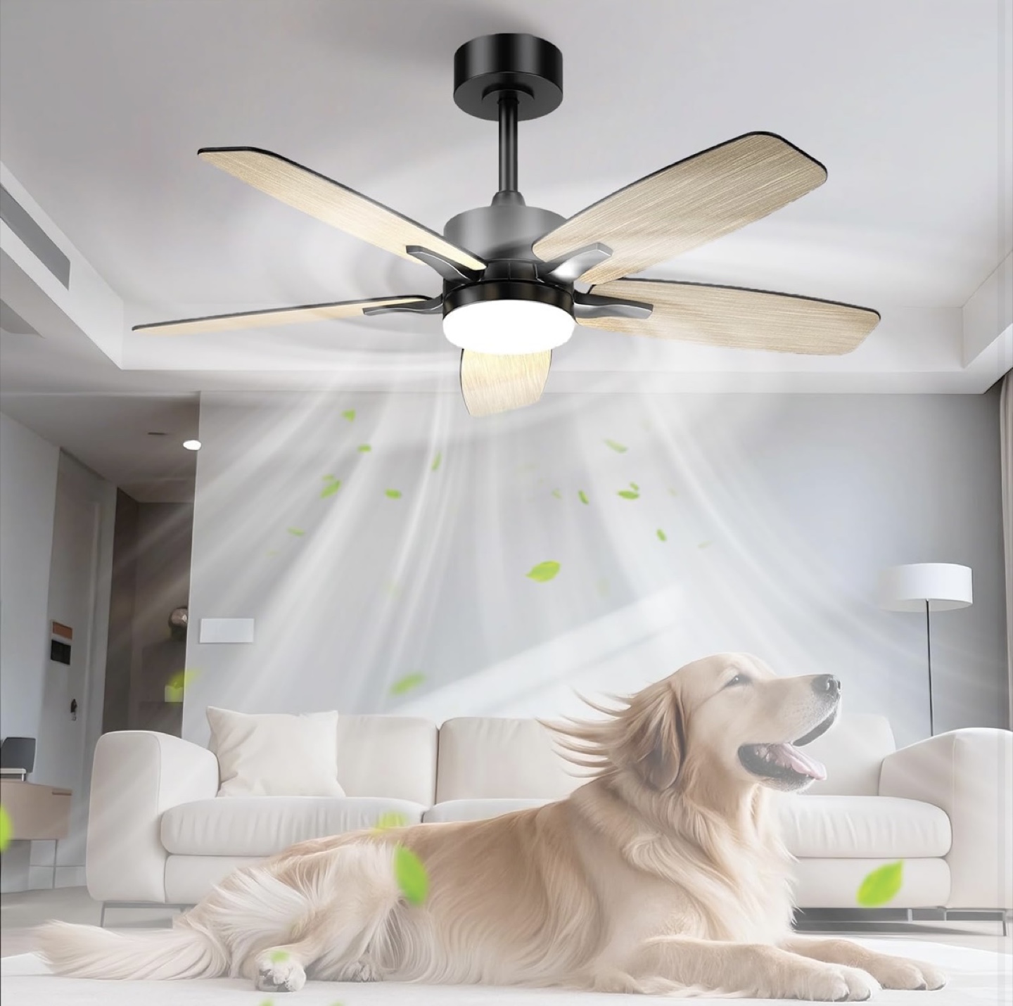 Hismummer Ceiling Fan - 42 inch
