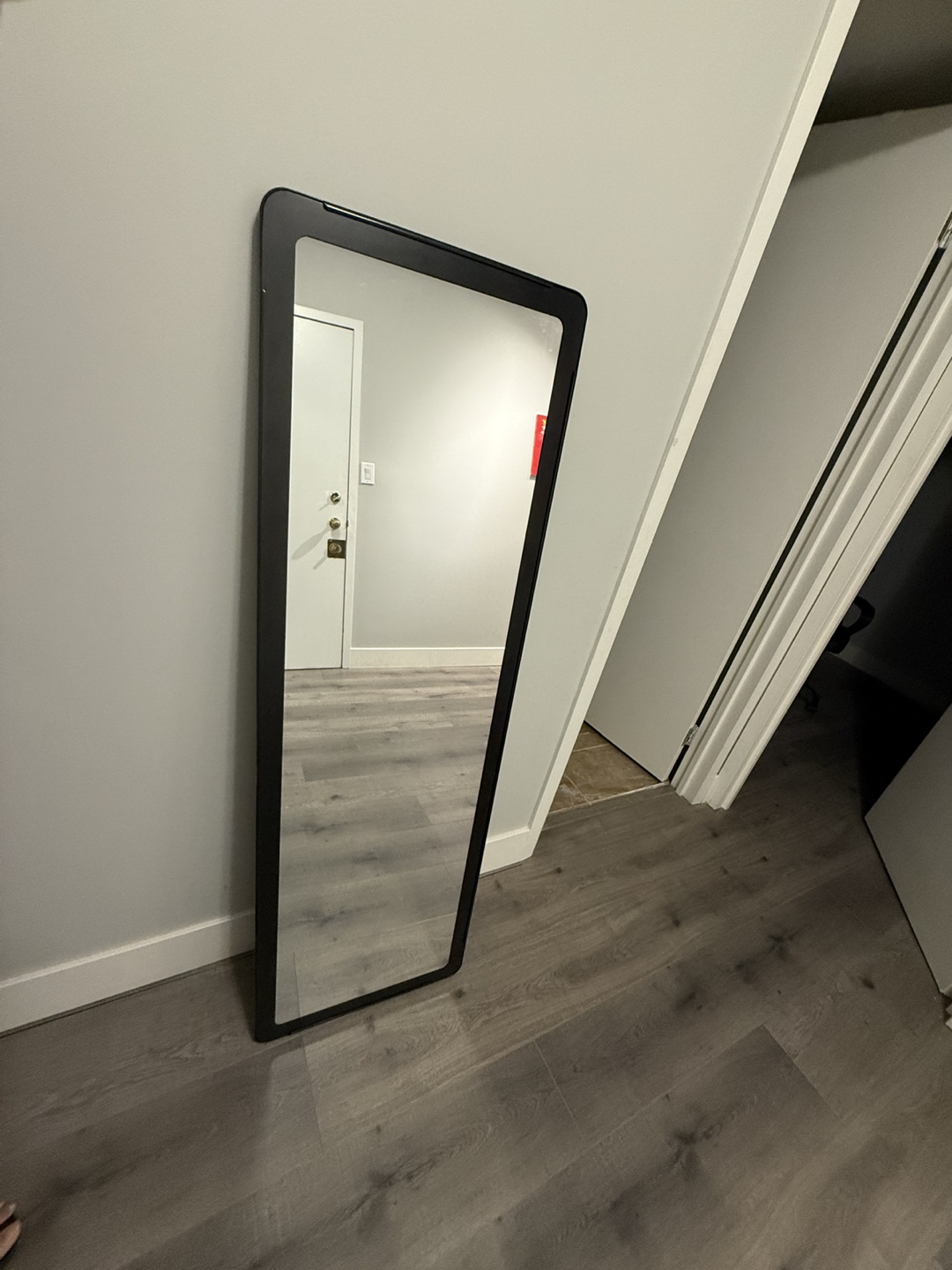 Black Framed Full Length Mirror