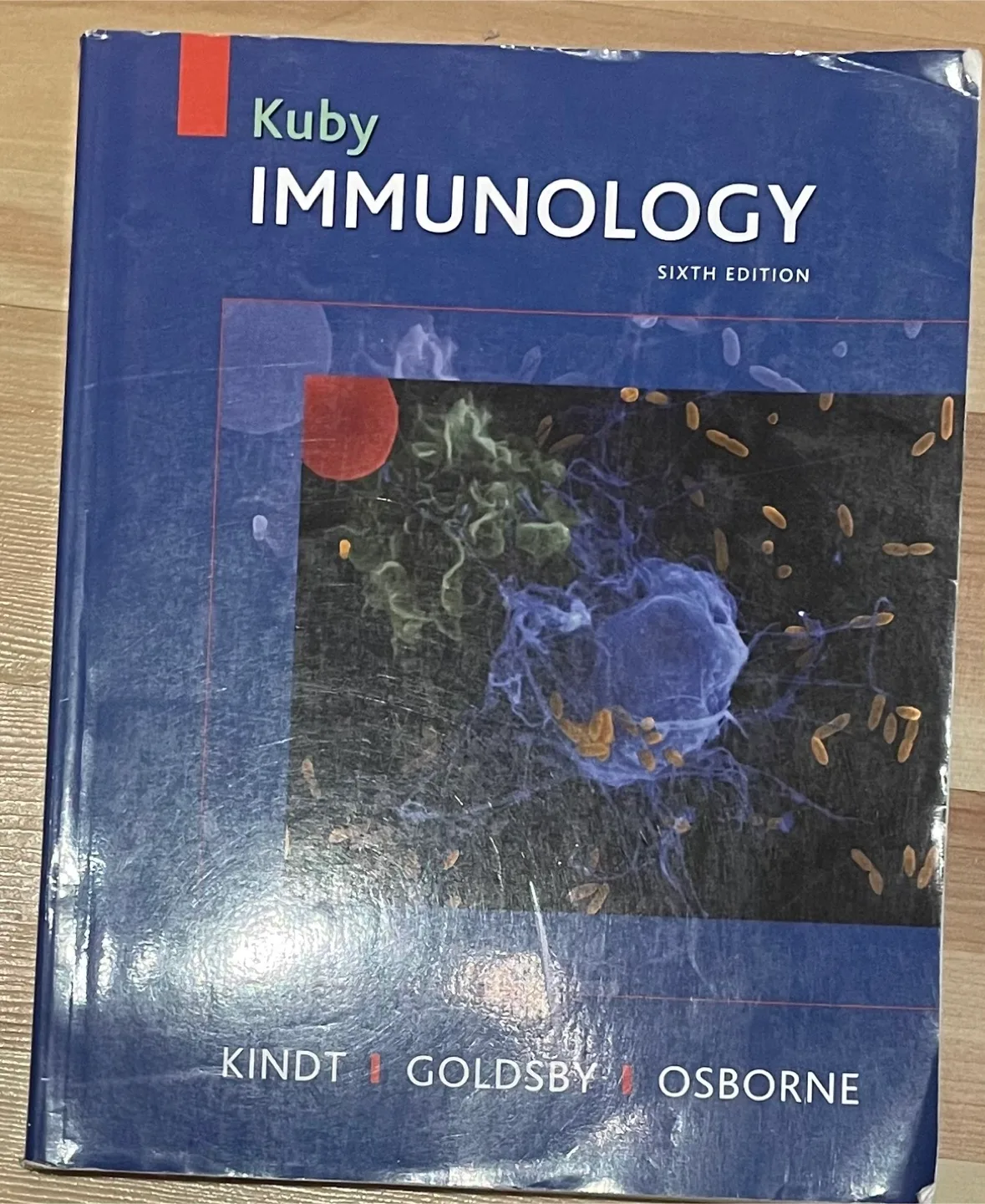 University/college biology textbook thumbnail