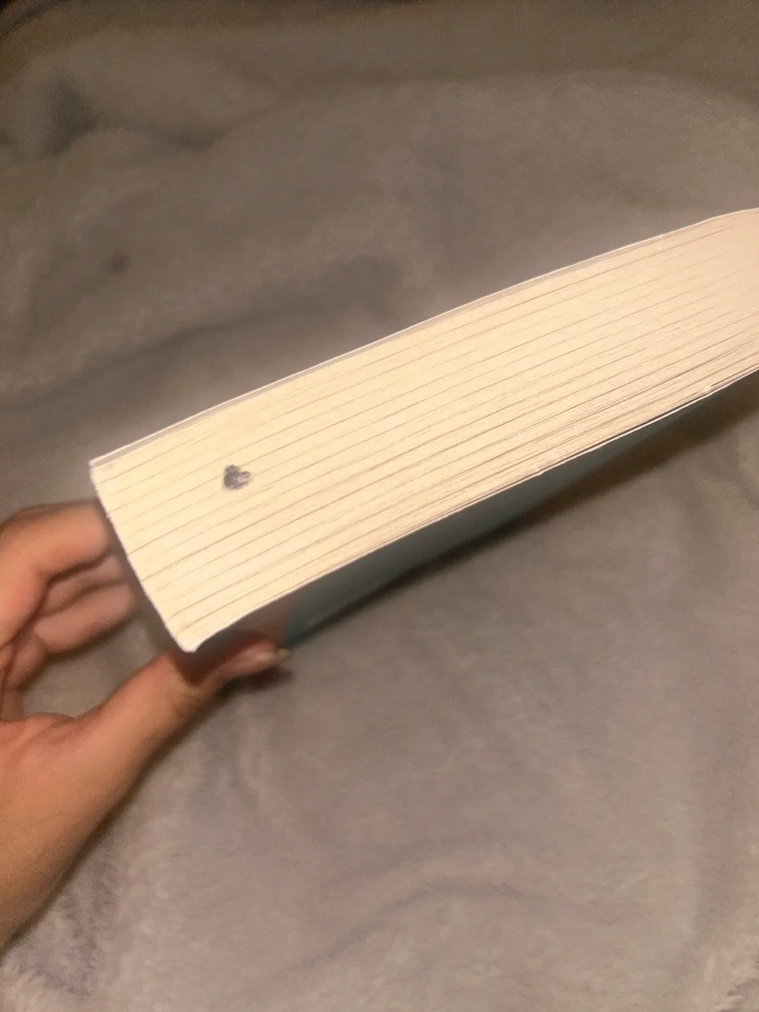 Book - BookTok - Book Lovers by Emily Henry image indicator(3)