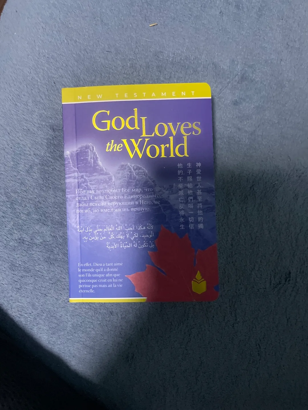 God Loves the World - New Testament thumbnail