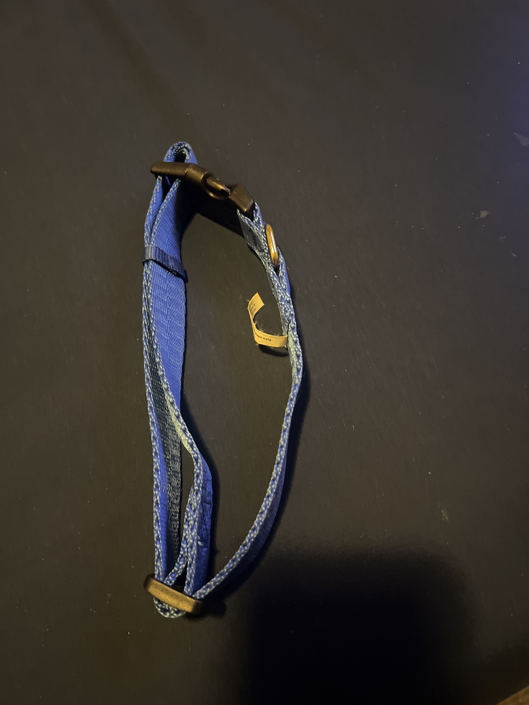 Blue Dog Collar