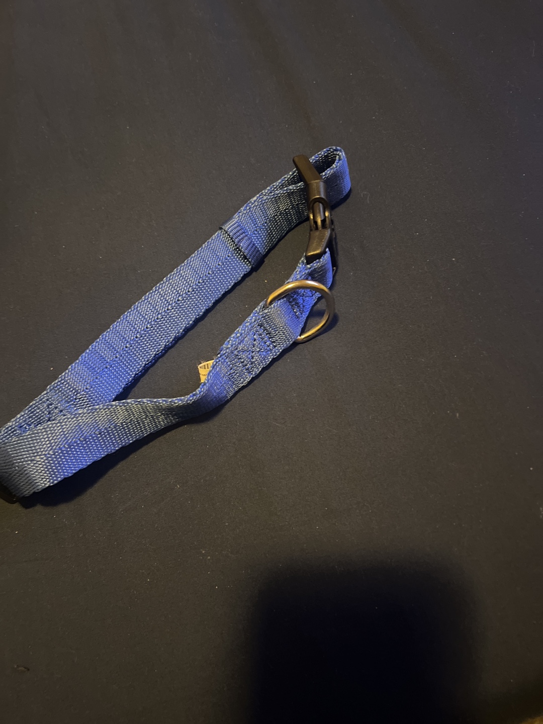 Blue Dog Collar - photo 2