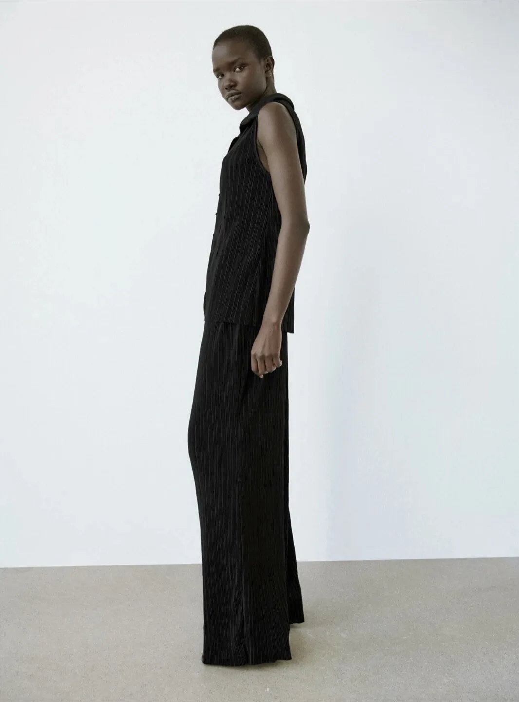 Zara Sleeveless Accordion Blouse image indicator(2)