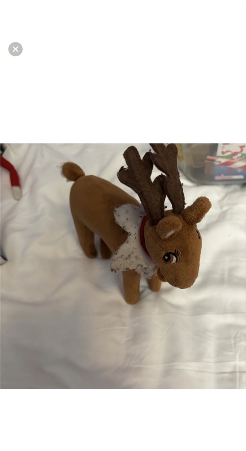 Elf on the Shelf Collection - photo 2