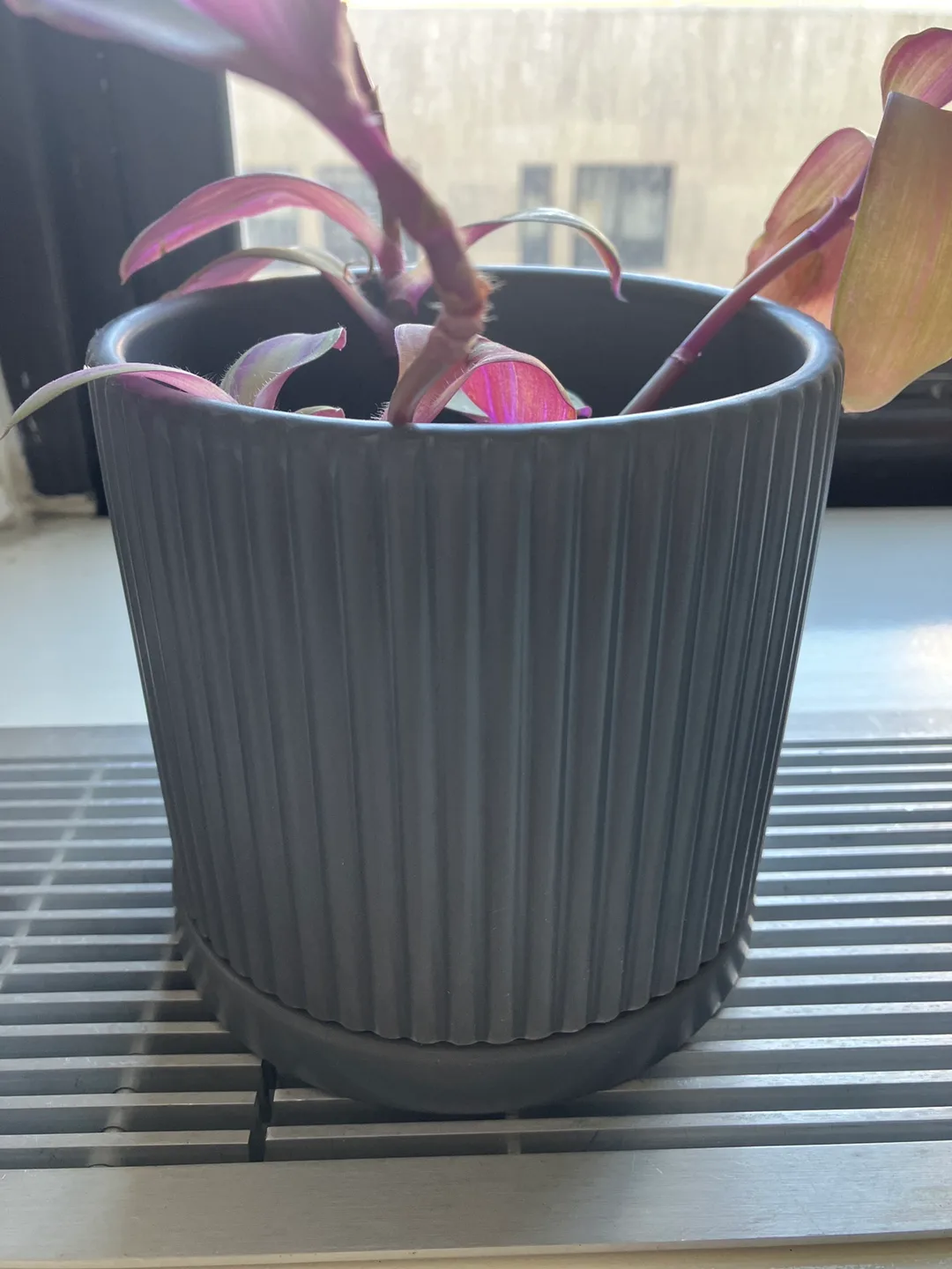 Grey 6inch pot image indicator(2)