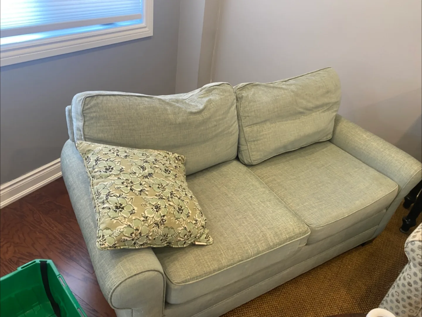 Light Green Loveseat Sofa thumbnail