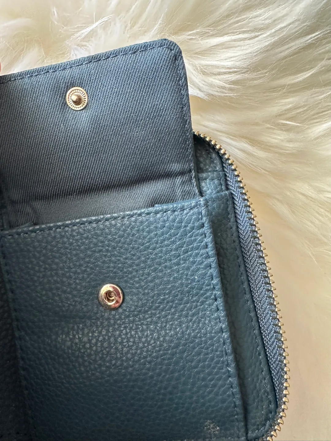 Love & Lore Zip Around Wallet - Dark Teal image indicator(3)