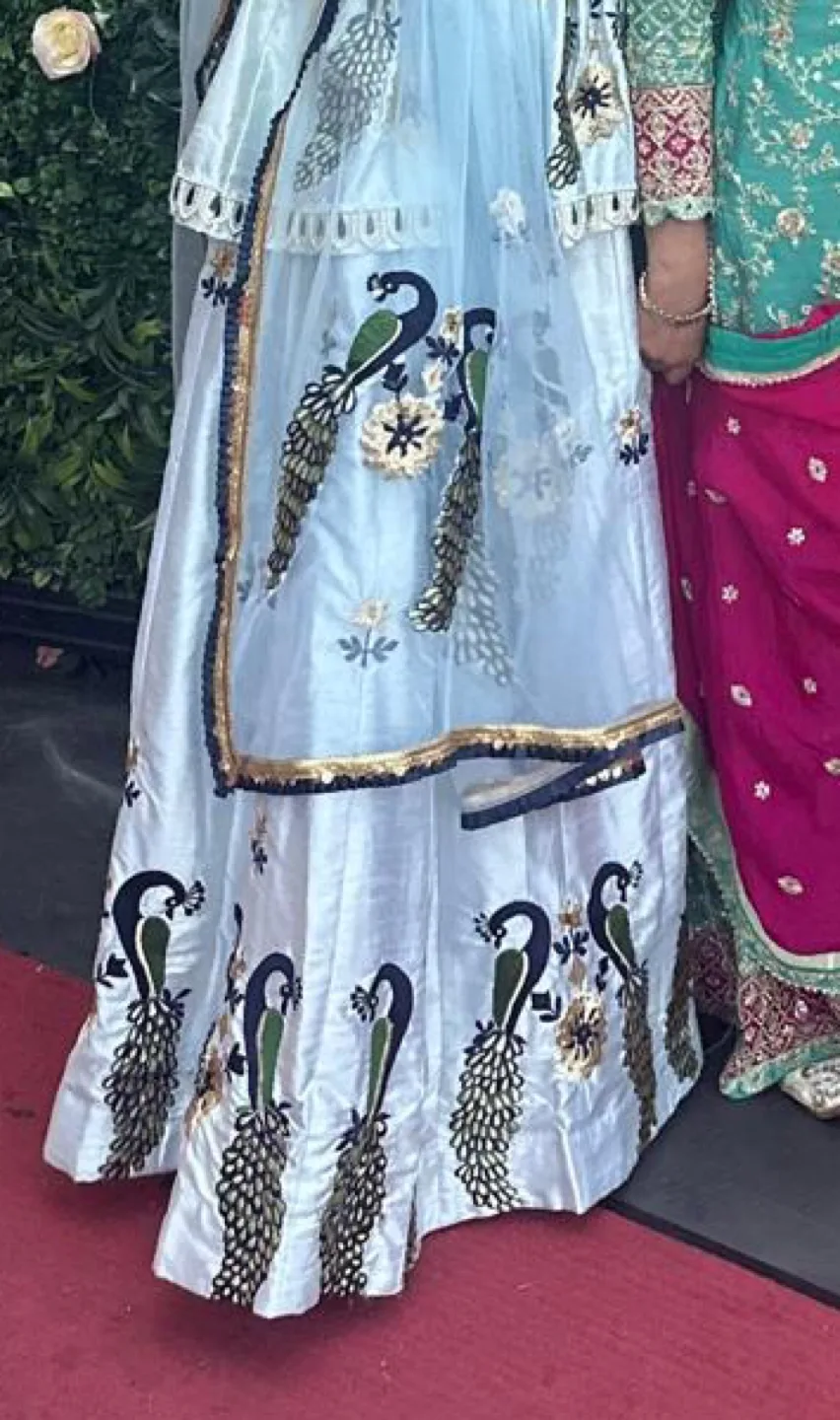 Lehenga Choli Set - Size Medium image indicator(3)