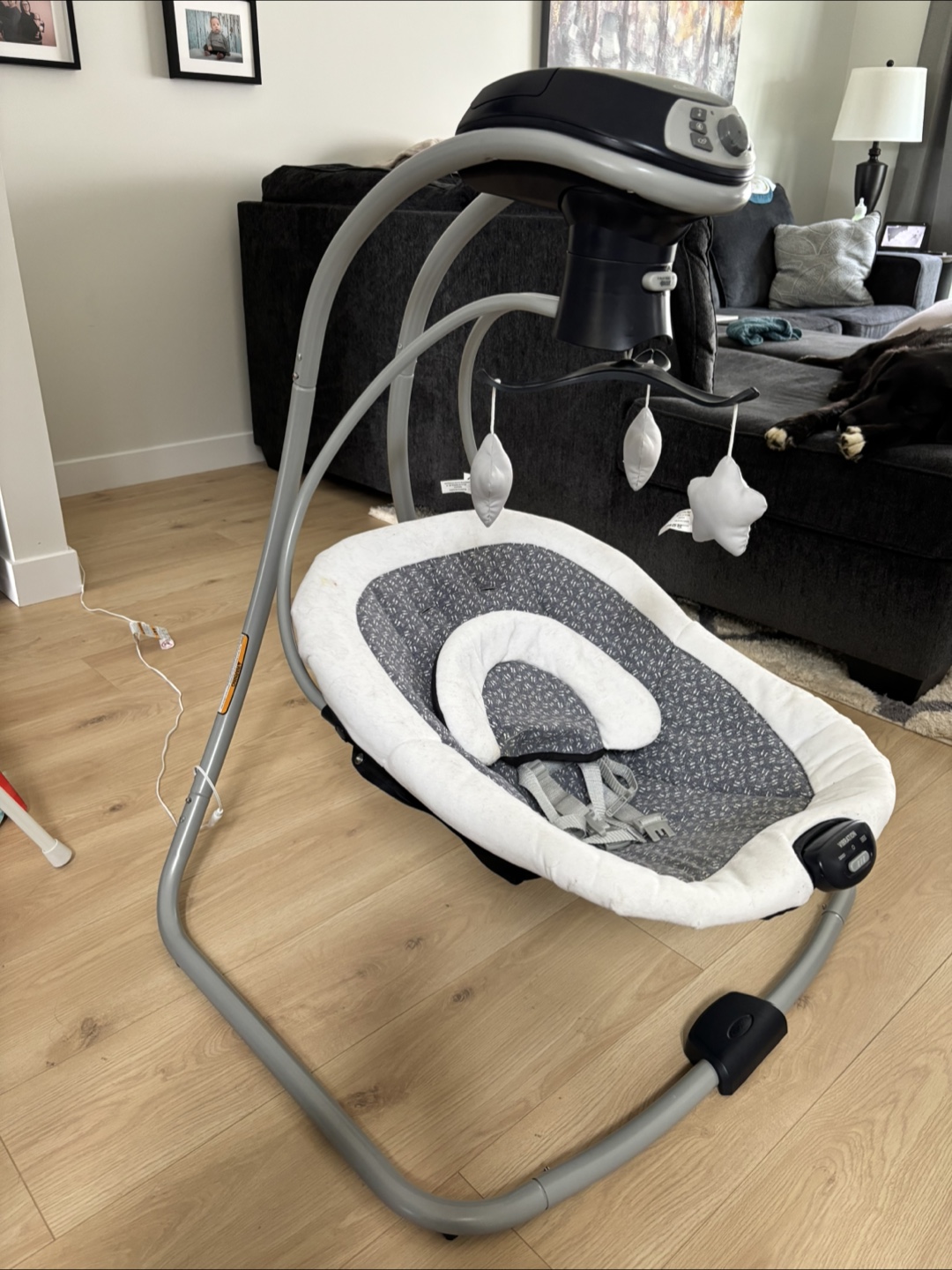 Graco Baby Swing with Vibration