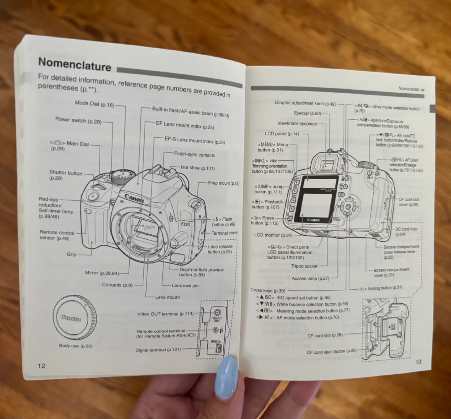 Canon EOS Rebel XT / 350D Digital Camera image indicator(8)