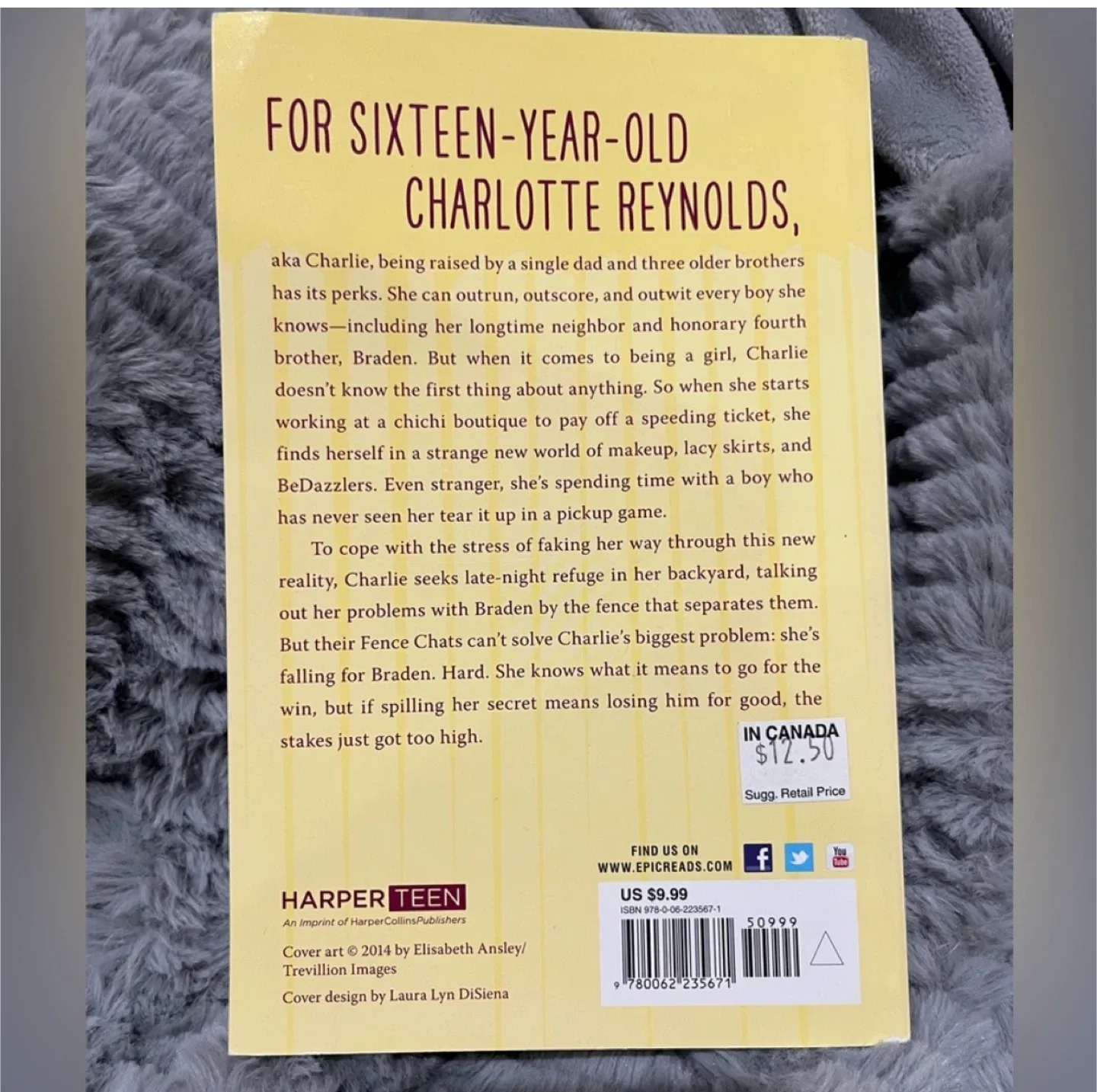 YA BOOK - One The Fence image indicator(2)