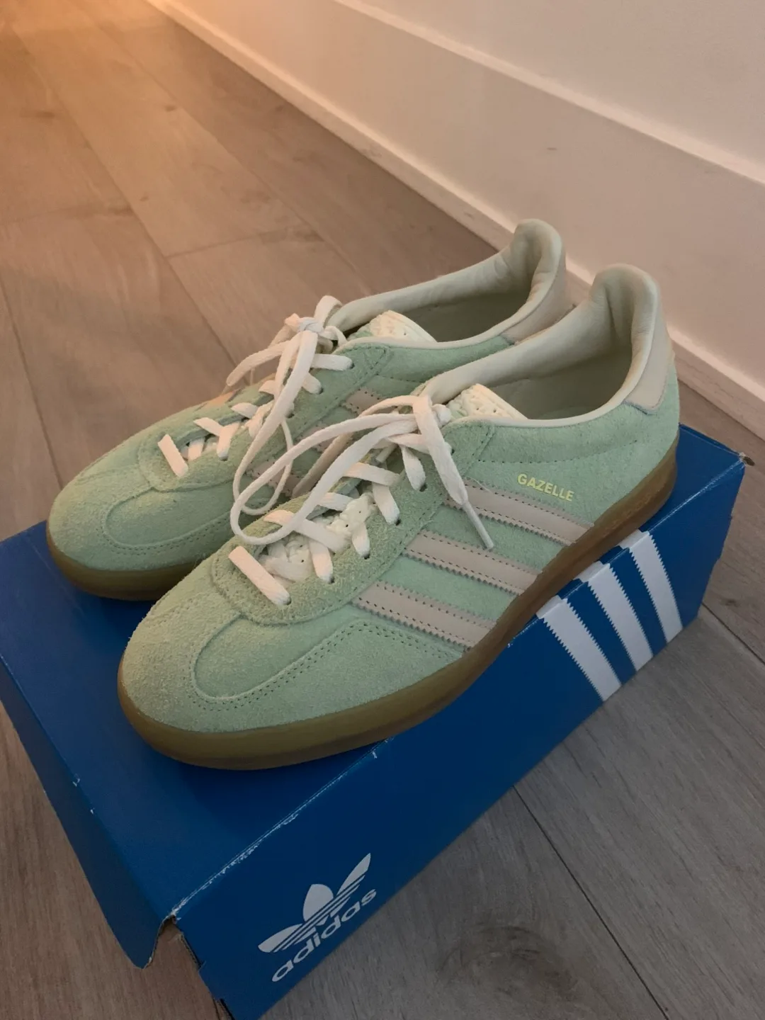 Adidas Gazelle Indoor US 7.5
