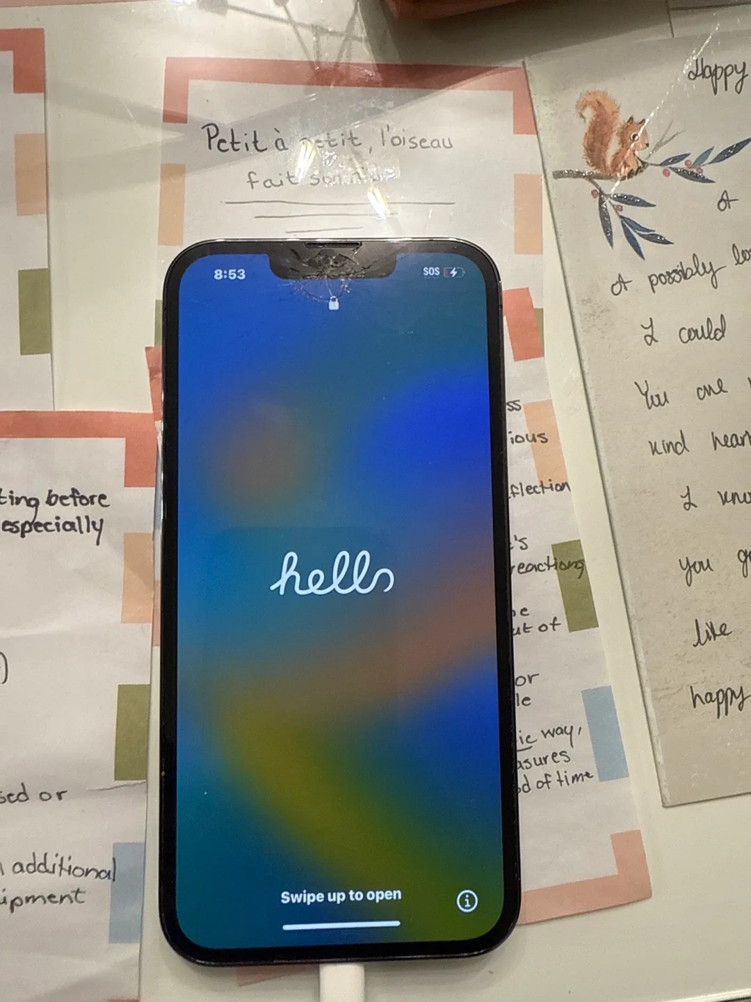 Apple iPhone 13 image indicator(2)