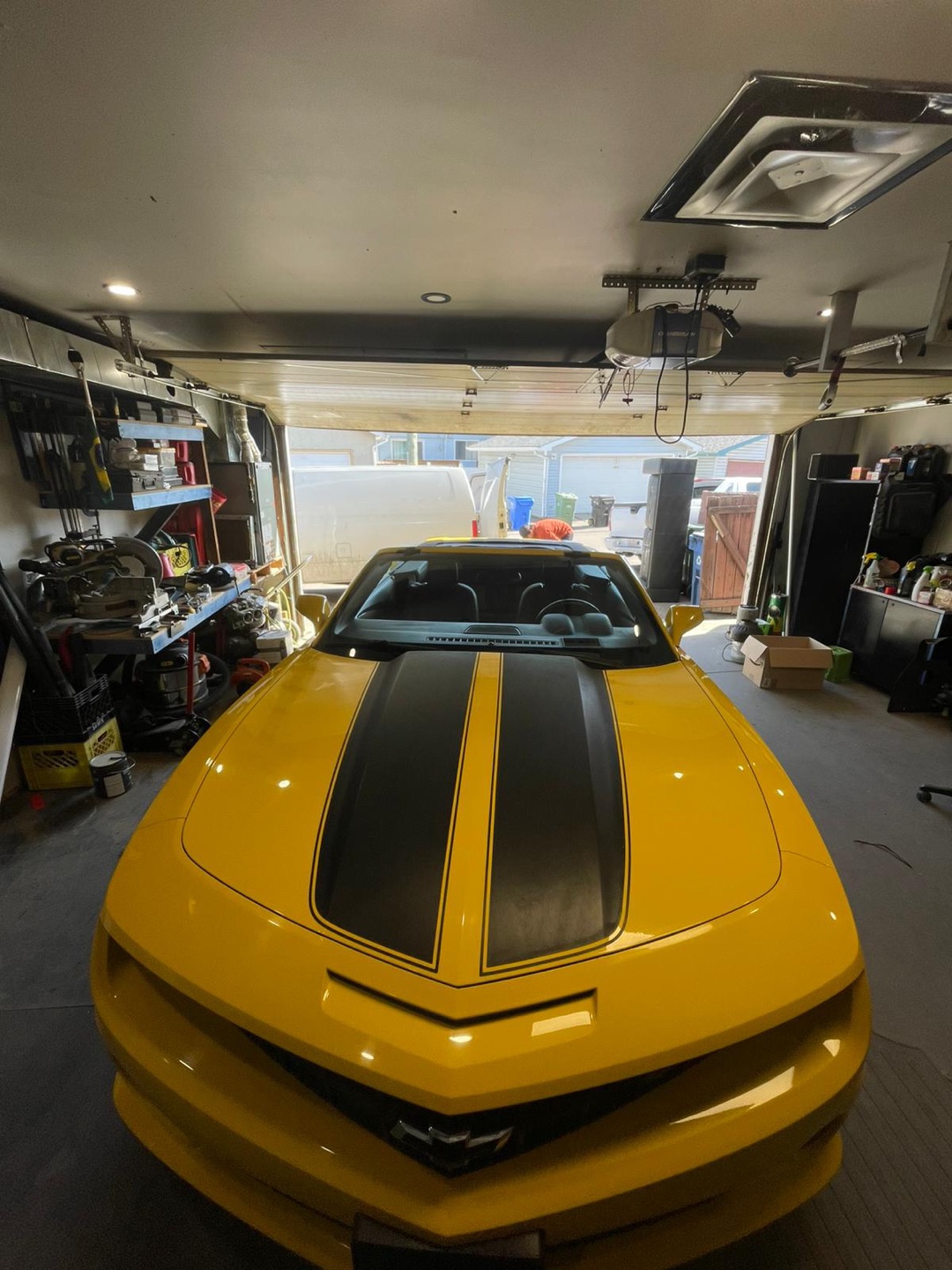 Windshield Replacement - photo 4