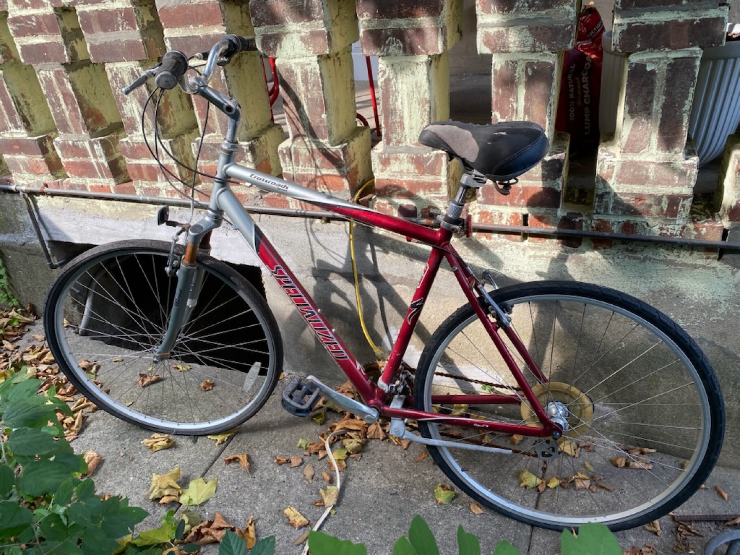 Specialized Crossroads Bike