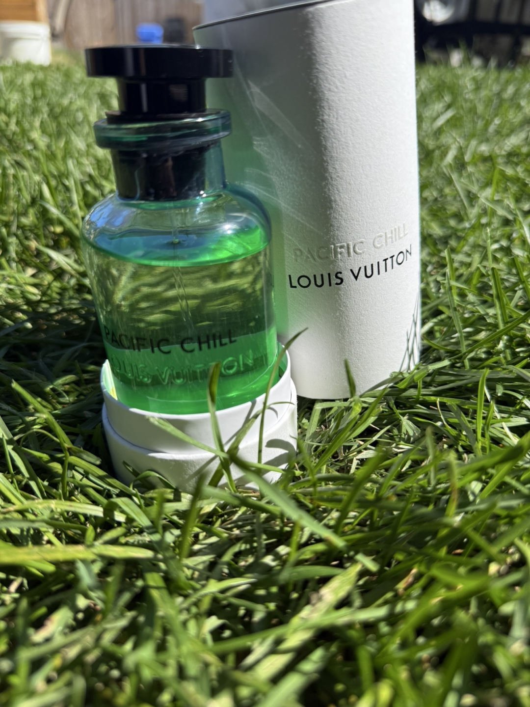 Louis Vuitton Pacific Chill - photo 2