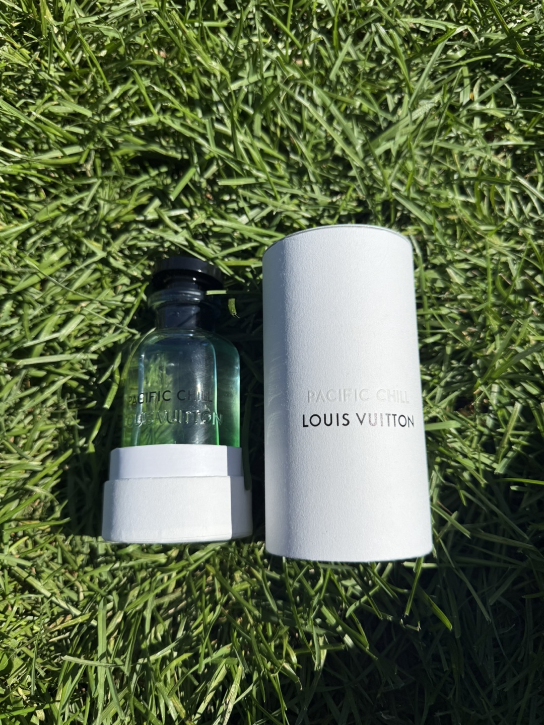 Louis Vuitton Pacific Chill - photo 3