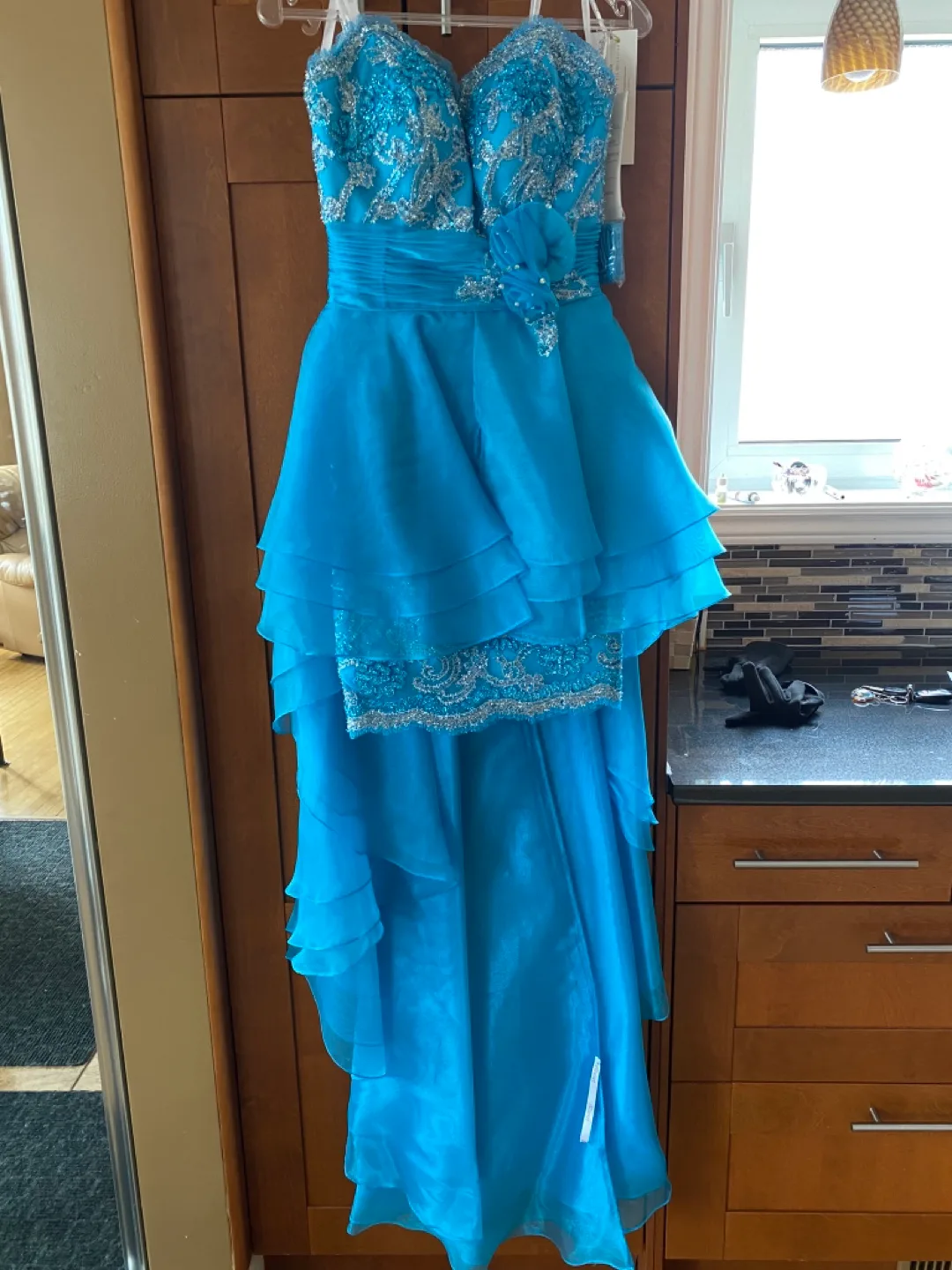 Tony Bowls Paris Designer Dress image indicator(4)