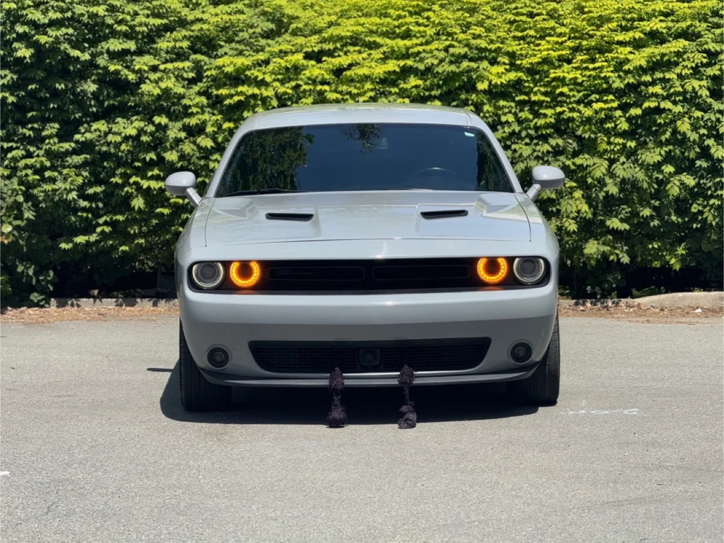 2022 Dodge Challenger - Grey thumbnail