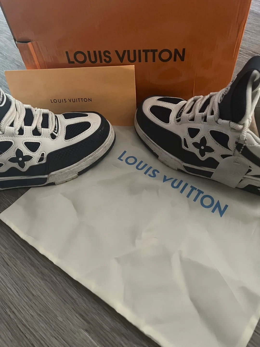 Louis Vuitton skates Blue/White Sneakers image indicator(2)