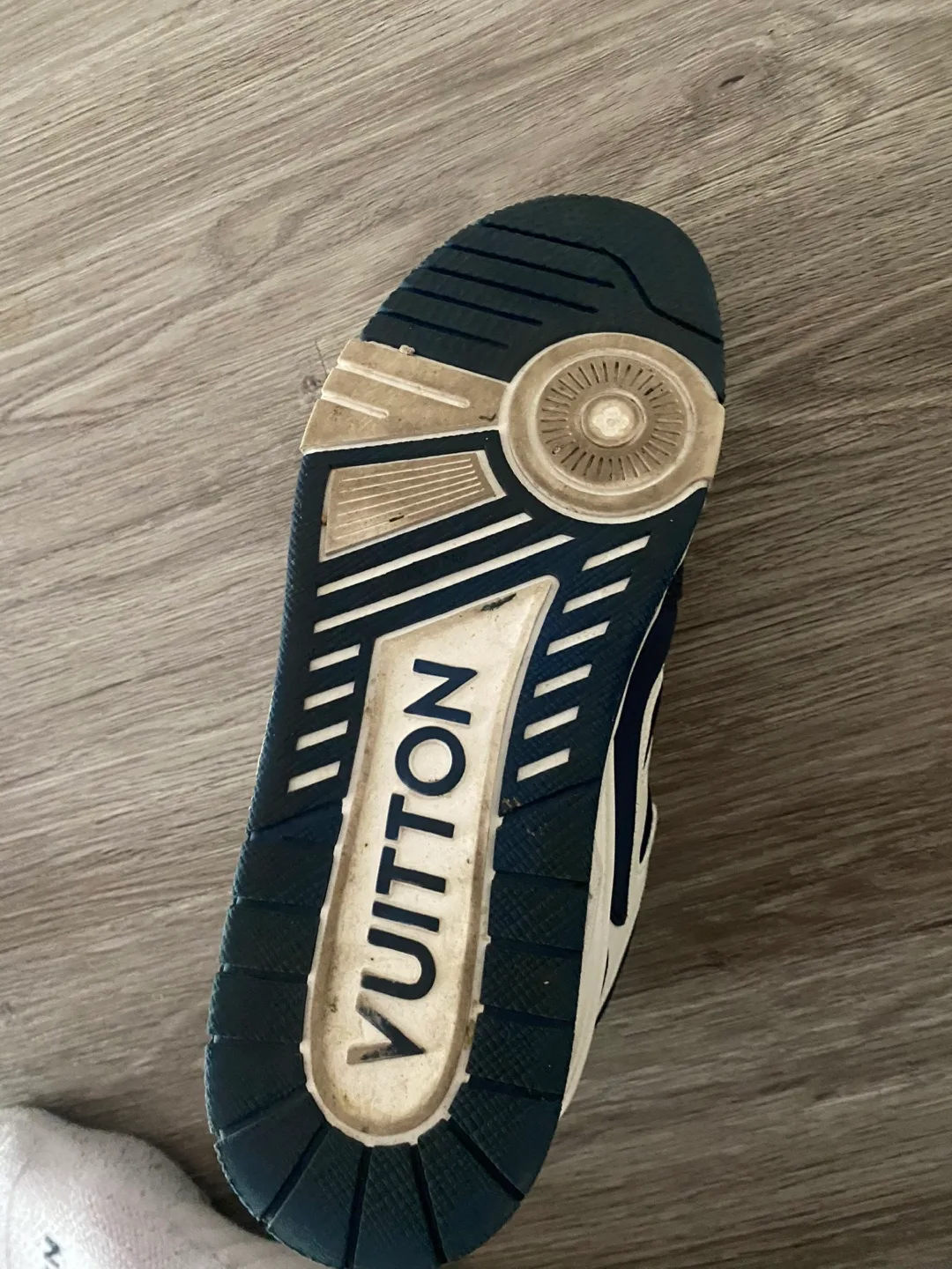 Louis Vuitton skates Blue/White Sneakers image indicator(9)