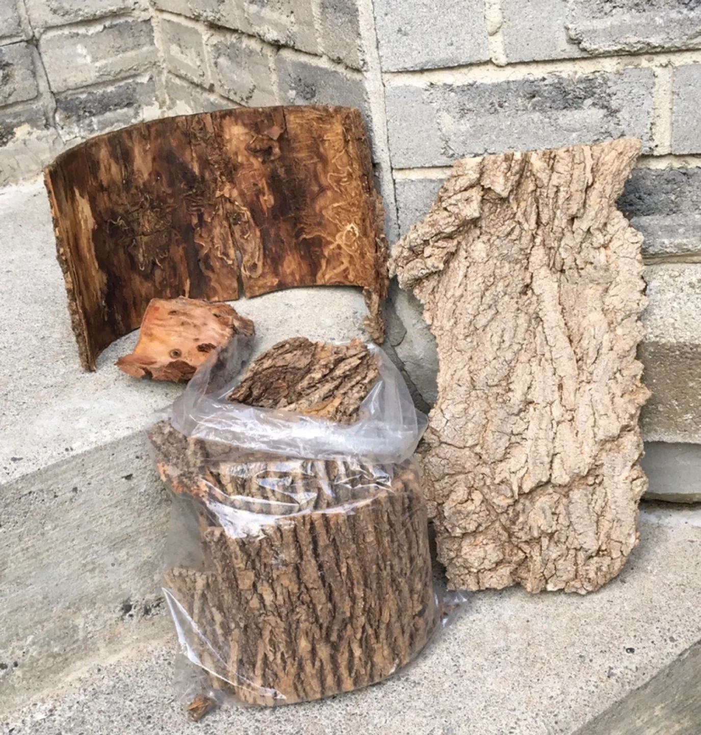 Tree Bark Pieces for Crafts image indicator(2)