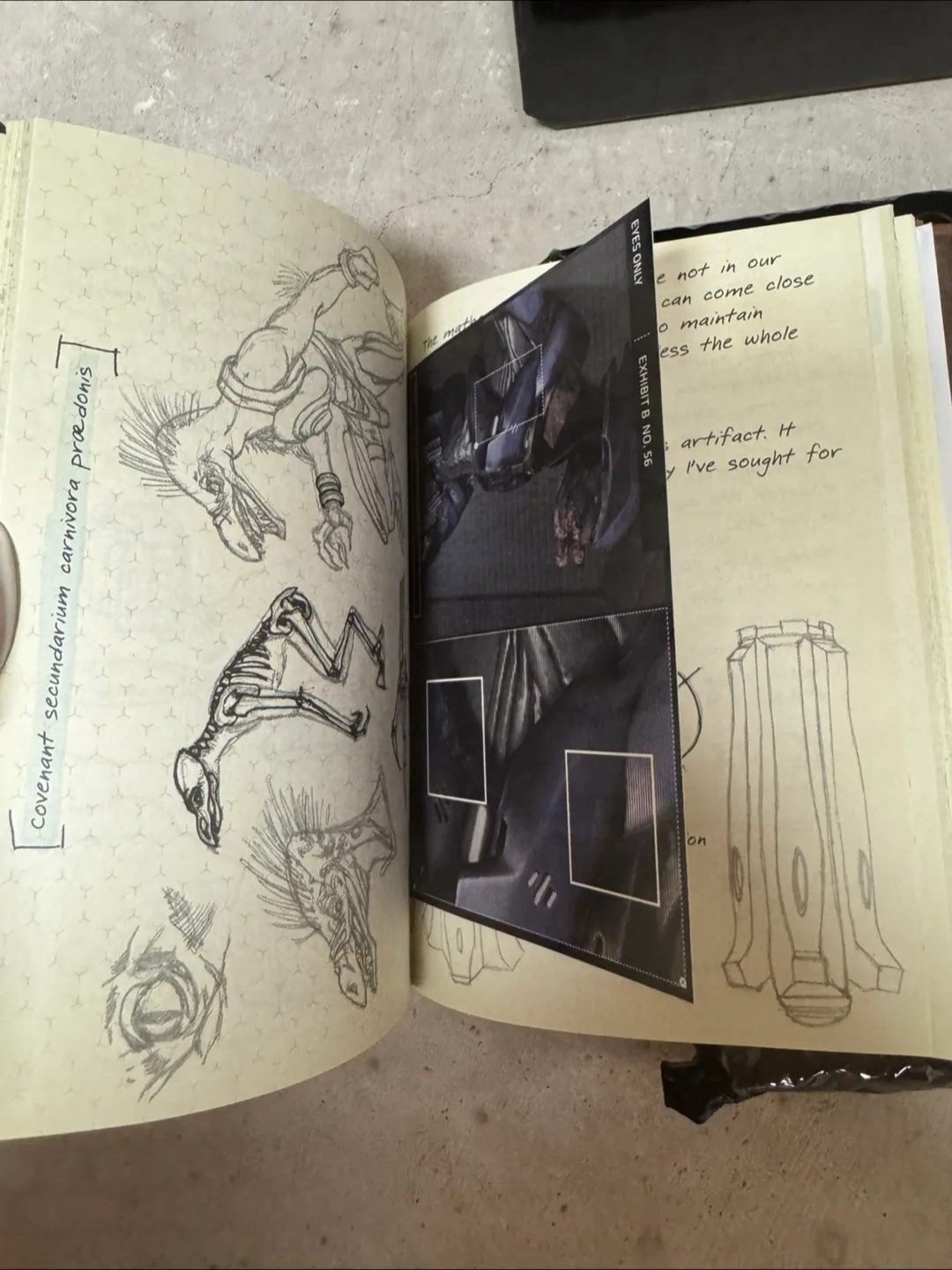 Halo: Reach – Dr. Halsey’s Personal Journal 🎮📓 image indicator(7)