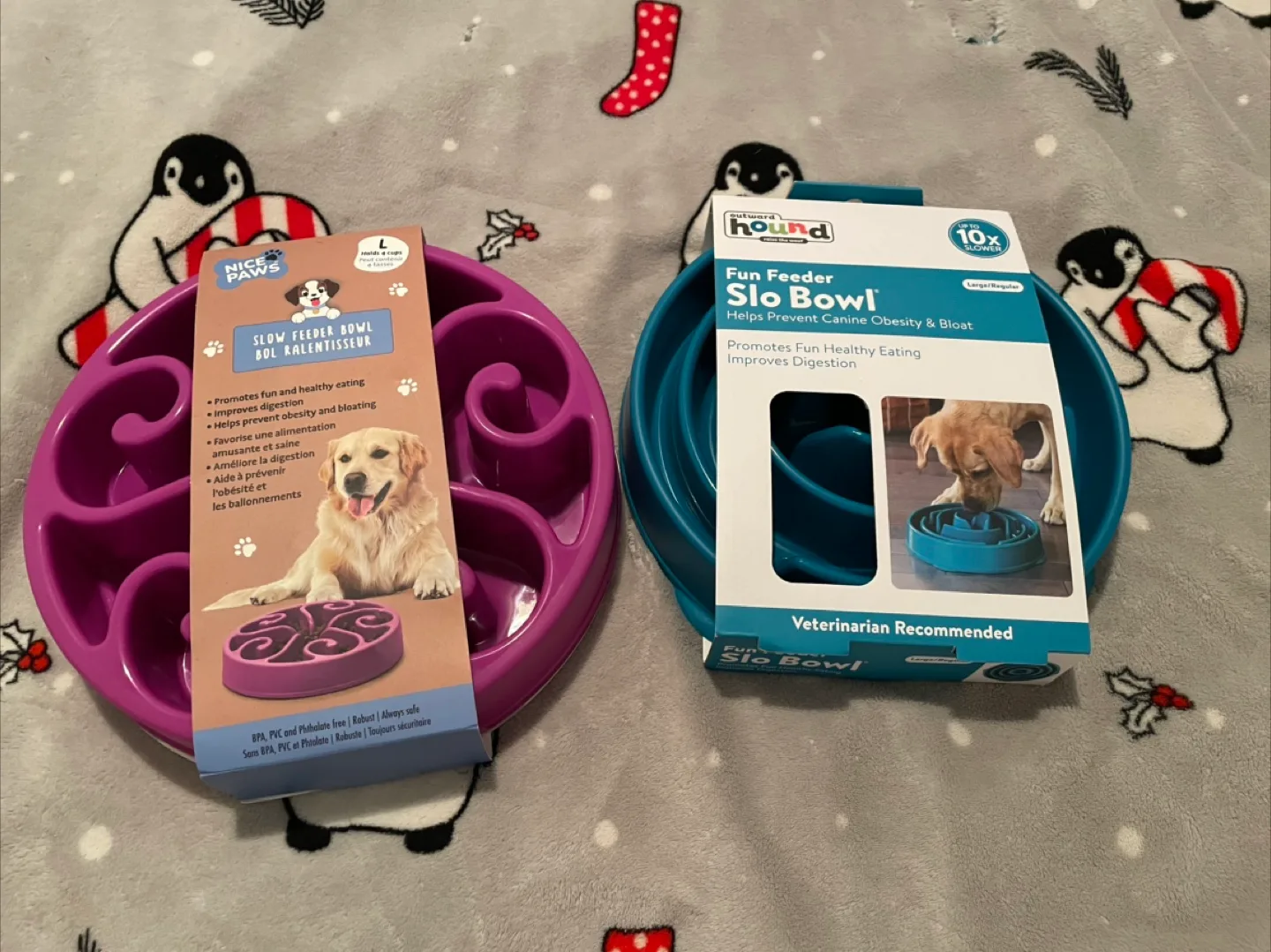 Brand New Dog Slow Feeder Bowls thumbnail