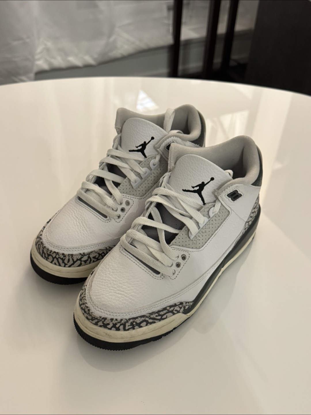 Air Jordan 3 Retro